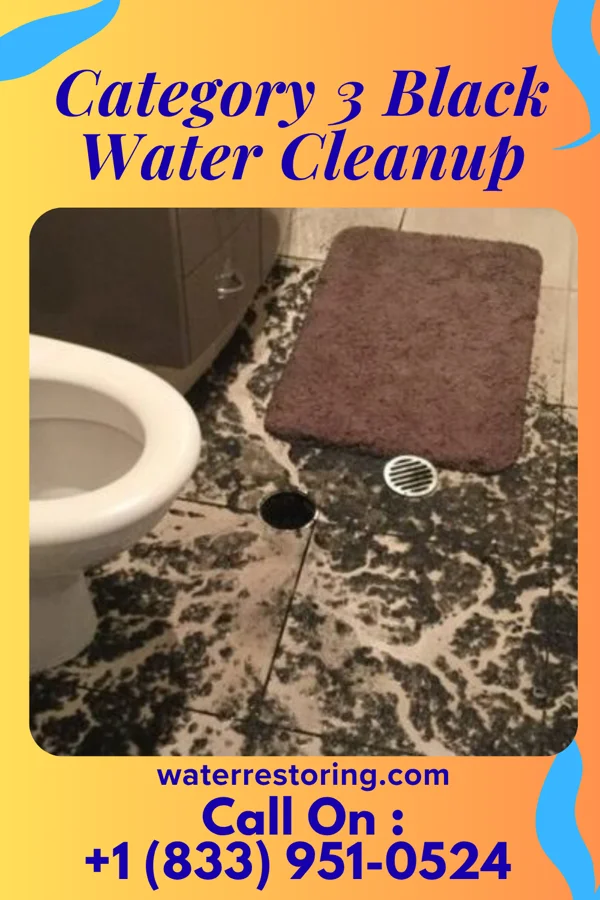 Category 3 Black Water Cleanup in Philomath, OR